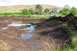 Wetland Construction