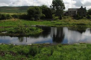 Lake and Pond Construction